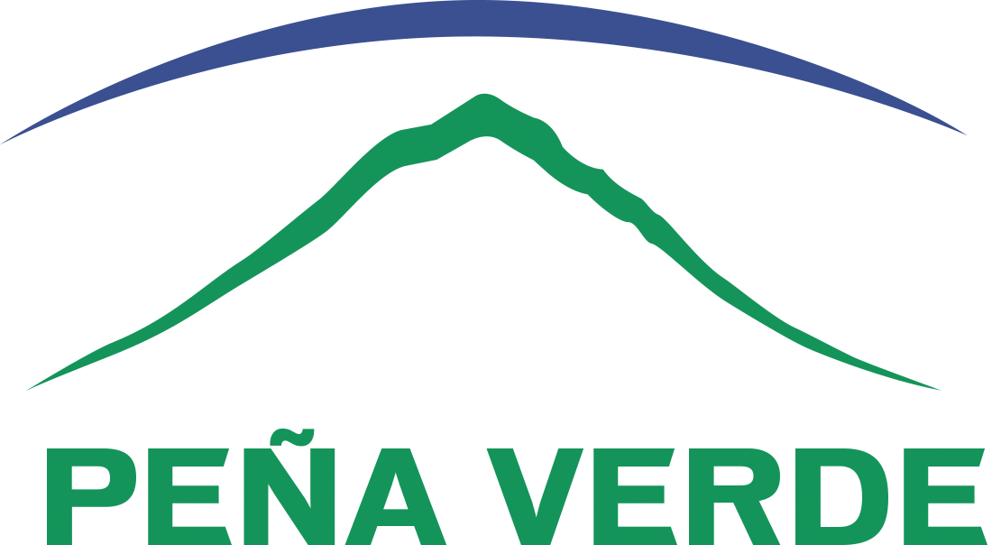 Pena. Логотип пена. Pena агентство. Пена Вайсман лого. Nano Pena logo.